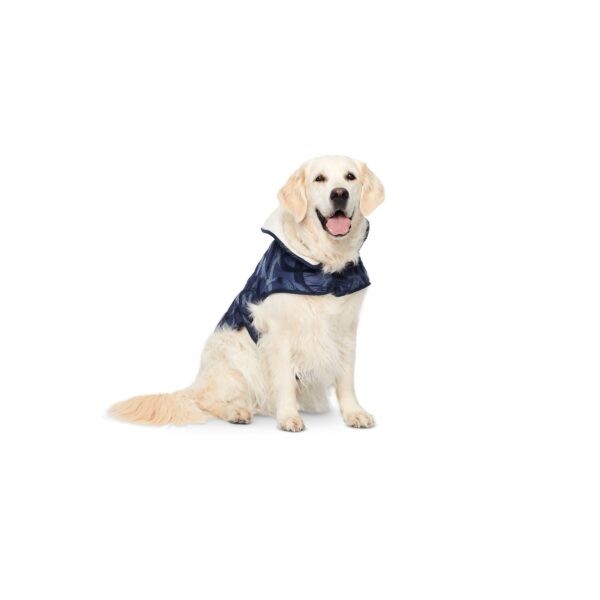 Burda Style Schnittmuster Nr. 6049 - Hundemantel – Bild 2