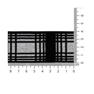 Elastikband - Elastic-Band - Lurex - Meterware - 40 mm - sw/silber - kariert - beidseitig