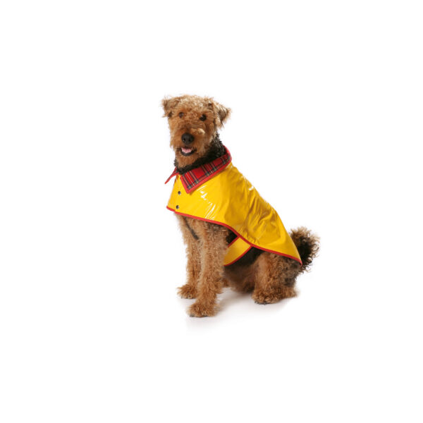Burda Style Schnittmuster - Mantel - Hundemantel - Hundeumhang - Hundecape - Nr. 7752 – Bild 4