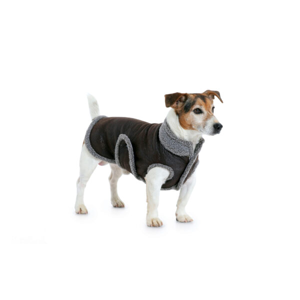 Burda Style Schnittmuster - Mantel - Hundemantel - Hundeumhang - Hundecape - Nr. 7752 – Bild 2