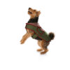 Burda Style Schnittmuster - Mantel - Hundemantel - Hundeumhang - Hundecape - Nr. 7752 – Bild 5
