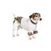 Burda Style Schnittmuster - Mantel - Hundemantel - Hundeumhang - Hundecape - Nr. 7752 – Bild 7