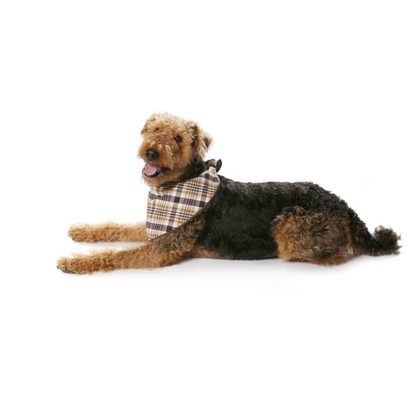 Burda Style Schnittmuster - Mantel - Hundemantel - Hundeumhang - Hundecape - Nr. 7752 – Bild 8