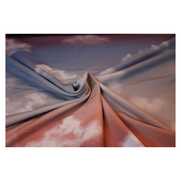 18.91 EUR/ 1m - French Terry - Cloudy Sky by lyckling design - Lachs - Panel 70 cm – Bild 2
