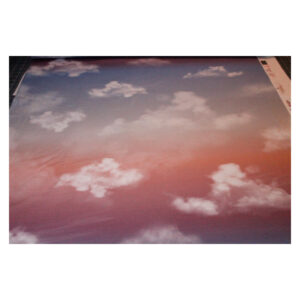 18.91 EUR/ 1m - French Terry - Cloudy Sky by lyckling design - Lachs - Panel 70 cm