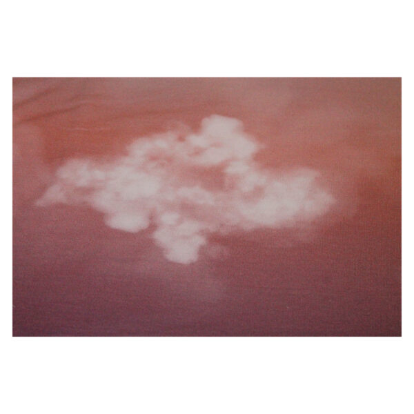 18.91 EUR/ 1m - French Terry - Cloudy Sky by lyckling design - Lachs - Panel 70 cm – Bild 3
