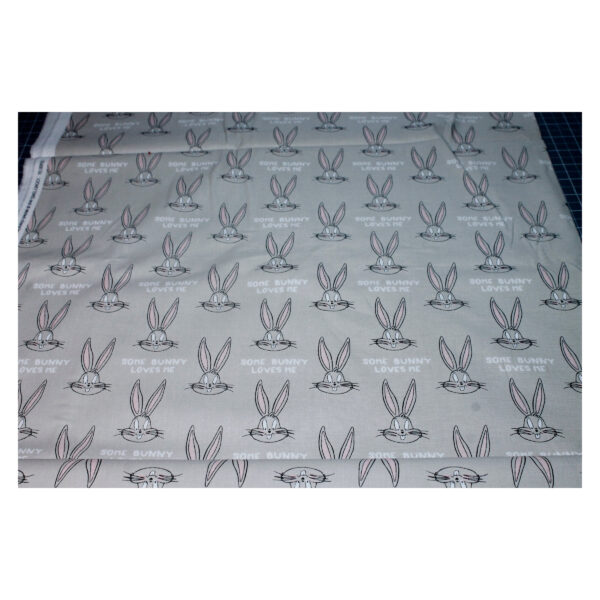13.80 EUR/m - Baumwollstoff - Patchwork - Looney Tunes Little Dreamer - Grau