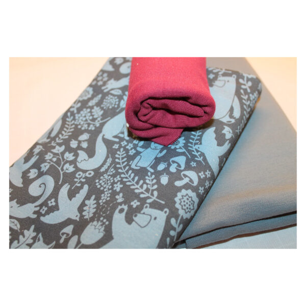 Stoffpaket- Jersey, Sommersweat - Kinderbekleidung - blau, bordeaux - SPJ 04 – Bild 2