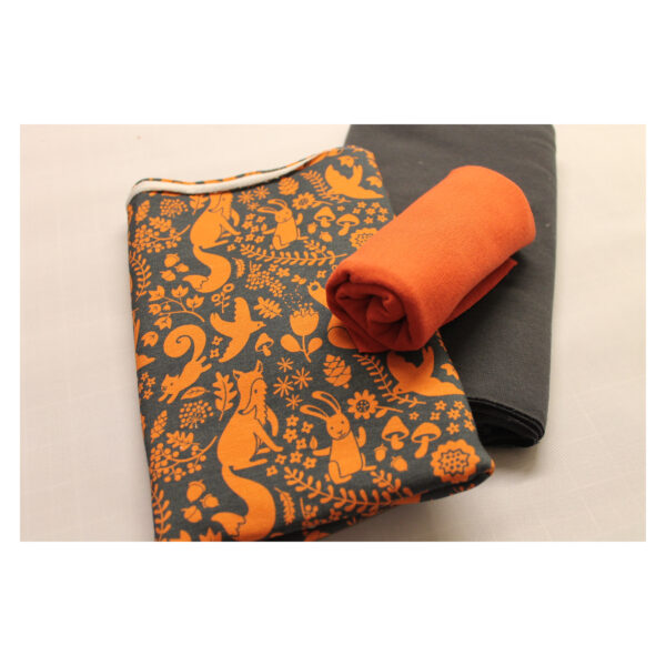 Stoffpaket - Jersey, Sommersweat - Kinderbekleidung -blau, orange - SPJ 05
