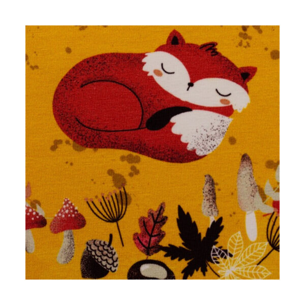 10.00EUR/m,  Jersey Panel, little Fox, Christiane Zielinski, verschiedene Muster, 70 cm – Bild 2