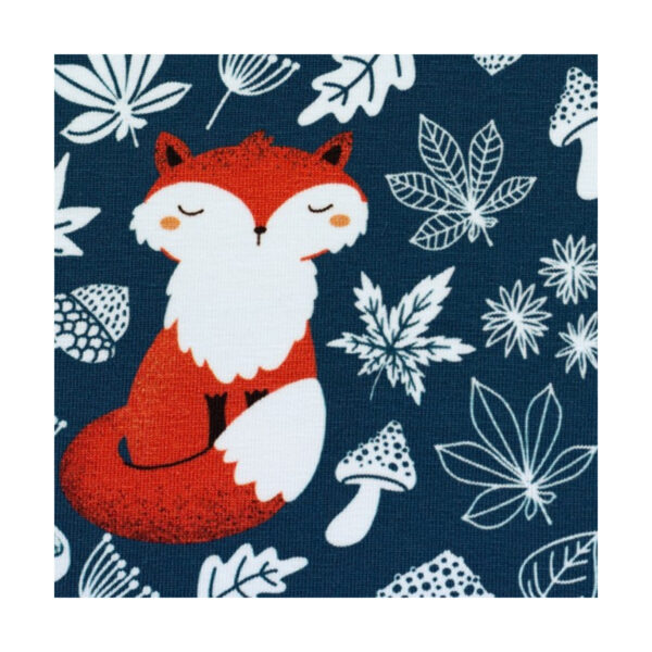 10.00EUR/m,  Jersey Panel, little Fox, Christiane Zielinski, verschiedene Muster, 70 cm – Bild 5