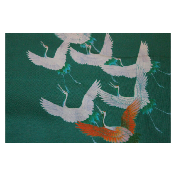 17.68 EUR/ 1m, Baumwolljersey, Moos Flying Birds, grün – Bild 3