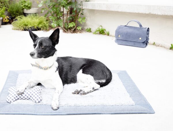 Burda Style Schnittmuster Nr. 5702 - Hunde-Set - Hunde Accessoires - Mantel, ... – Bild 4