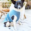 Burda Style Schnittmuster Nr. 5702 - Hunde-Set - Hunde Accessoires - Mantel, ... – Bild 7